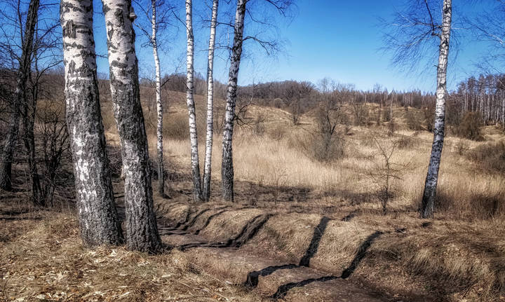 Апрельская палитра