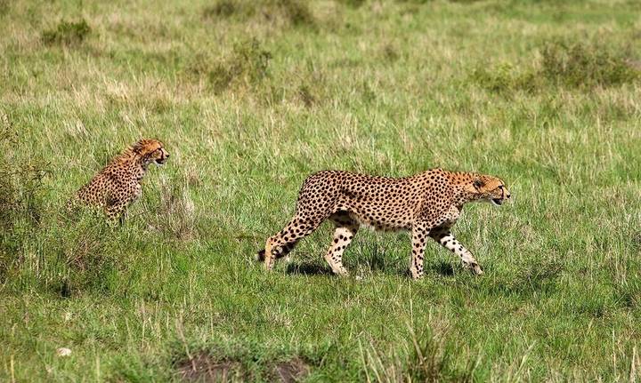 Kenya