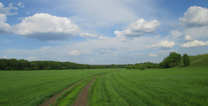 		По дороге с облаками...			