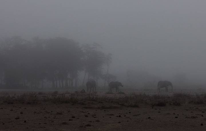 Kenya
