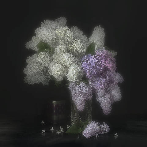 "Сирень кипящая клубится"