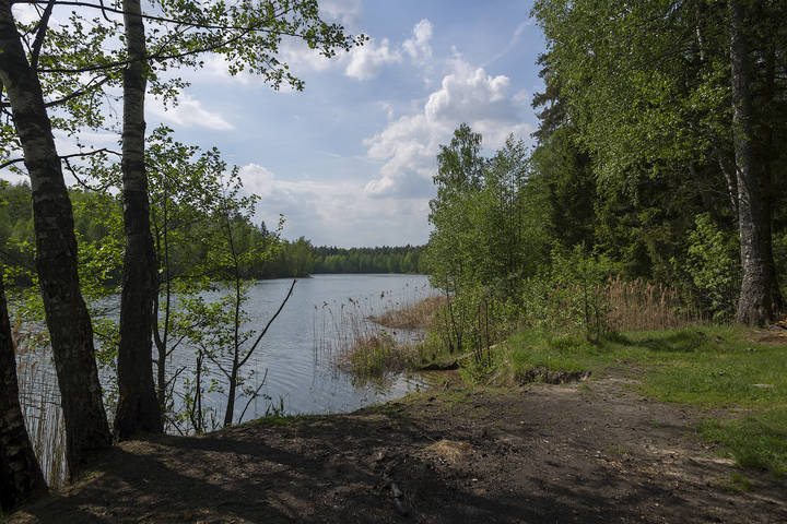 Майская зарисовка