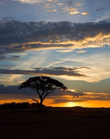 Kenya