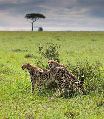 Kenya