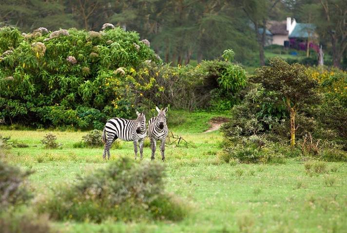 Kenya