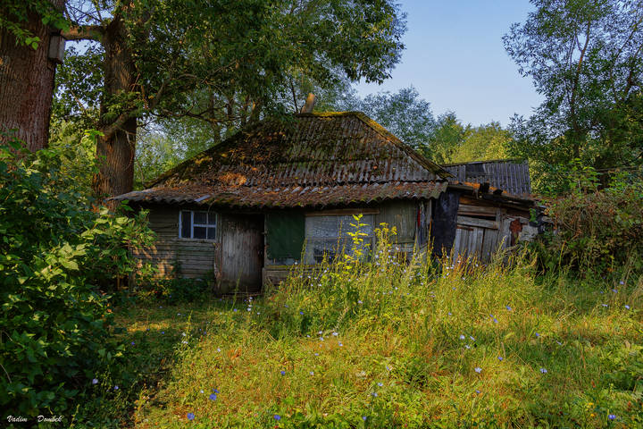 Россия