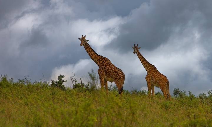 Kenya