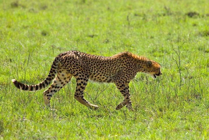 Kenya