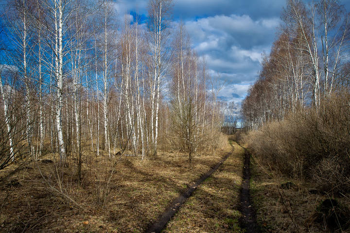 Тропка к счастью