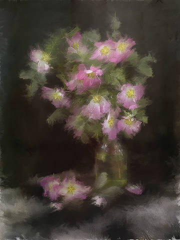 dogrose