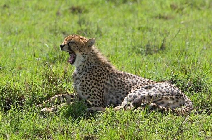 Kenya