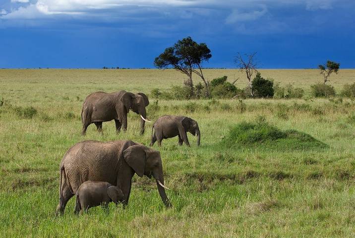 Kenya