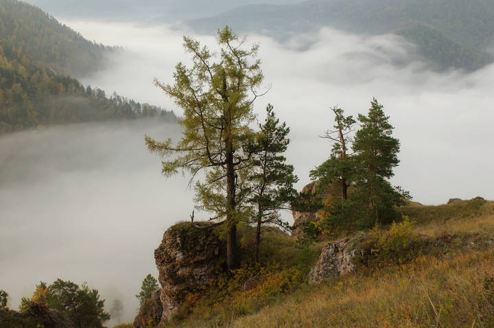 Просыпается природа.