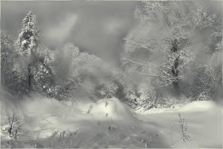 окно в зиму