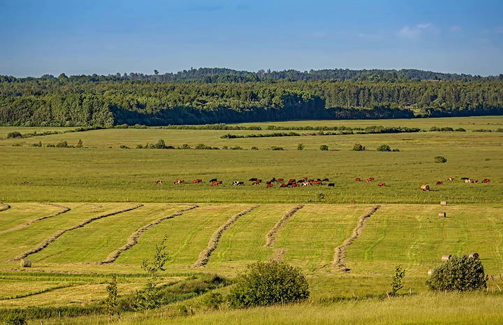 Latvia 2018 June 1