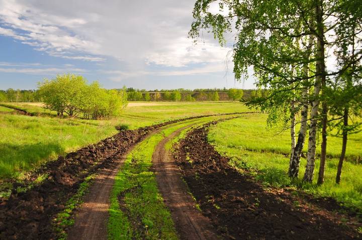 Утренняя дорога