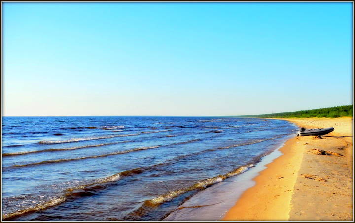 Берег Финского залива