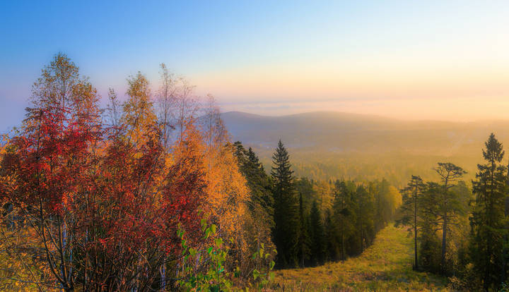 Расплескала краски осень