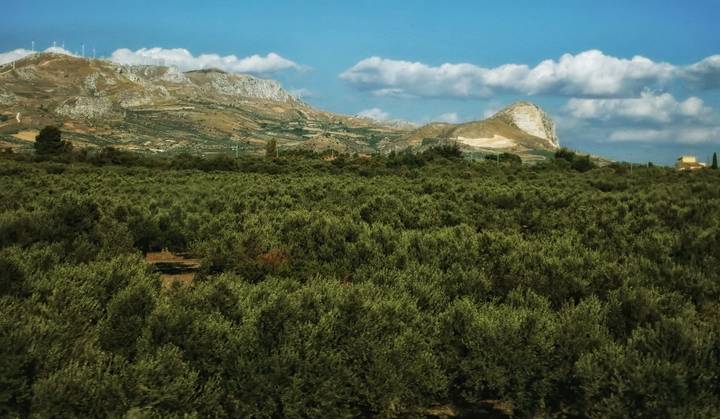Sicily