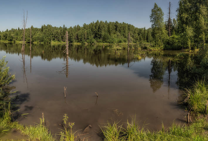 спокойствие мутной воды