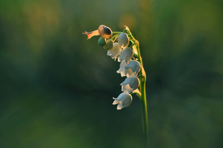 Мне сверху видно всё