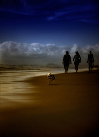 Gold Coast