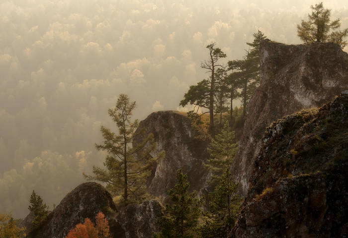 В вечерней дымке..