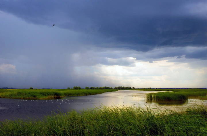 Перед грозой