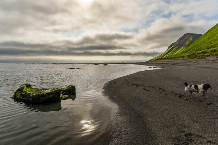 Прогулка по берегу моря