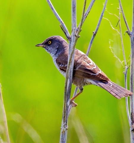 # 3