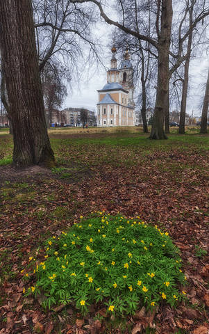 Казанская церковь(Углич)