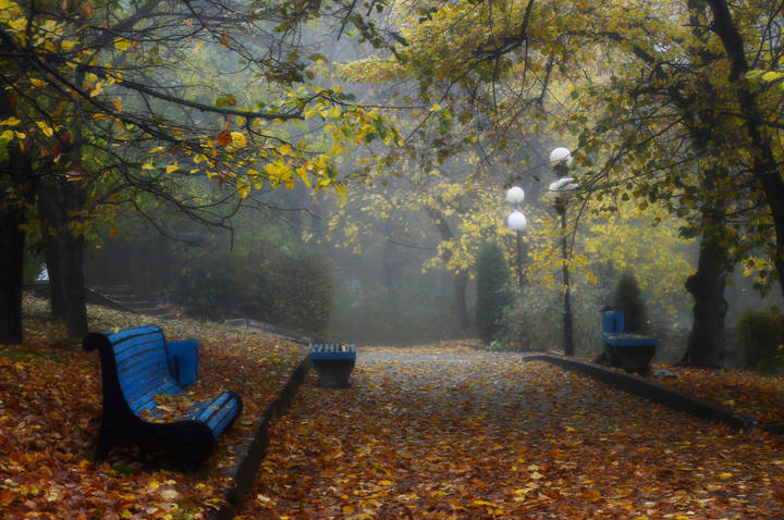 В старом парке...........