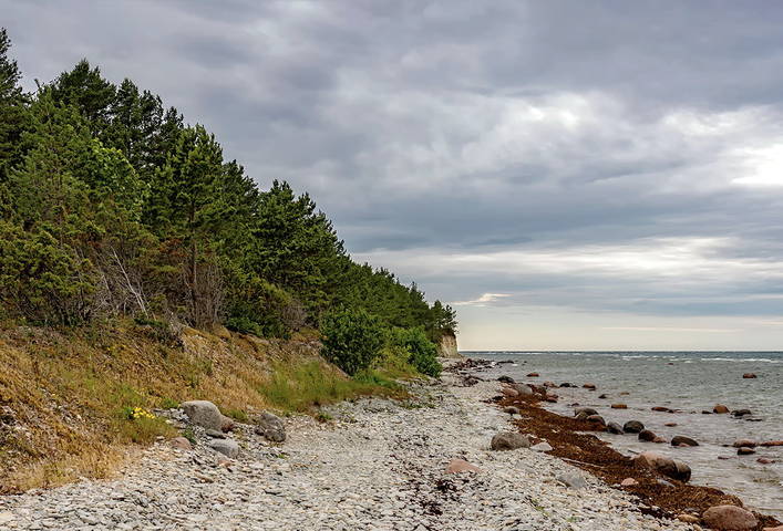 Estonia 2018 Saaremaa Panga