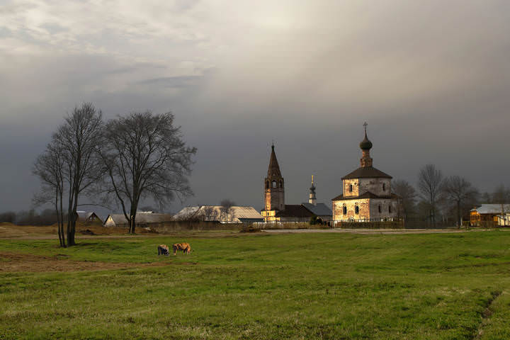 В вечернем свете