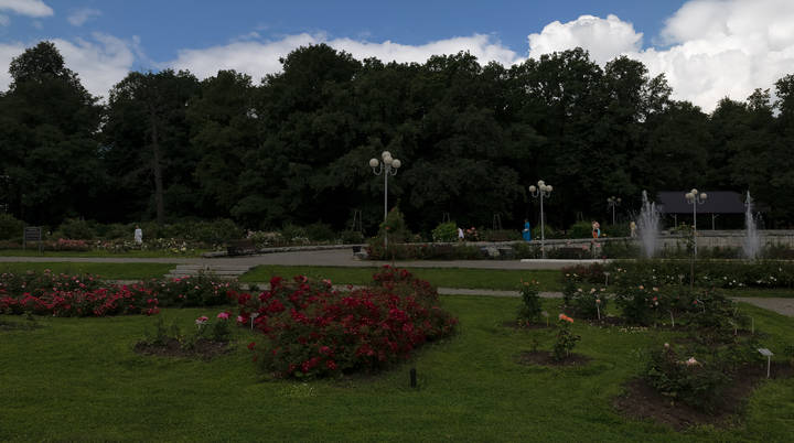 В московском розарии
