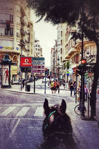 Valencia