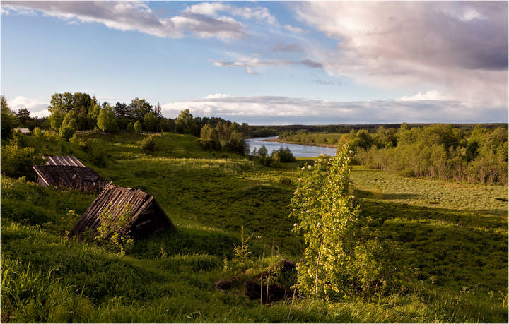 Край фото сайт. Куст Ракиты над рекой в Хабаровского края. Деревня, Ракиты над рекой картинки.