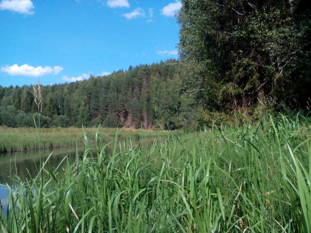 Прогулка
