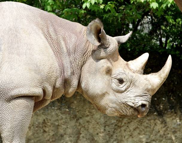 Zoo