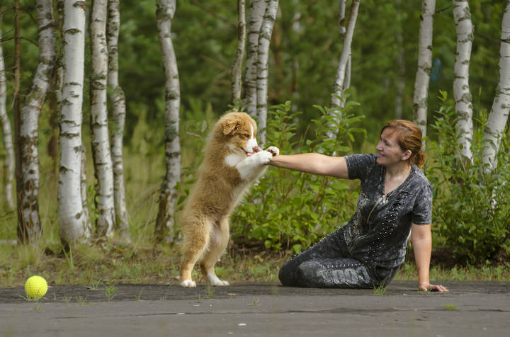 Первая прогулка.