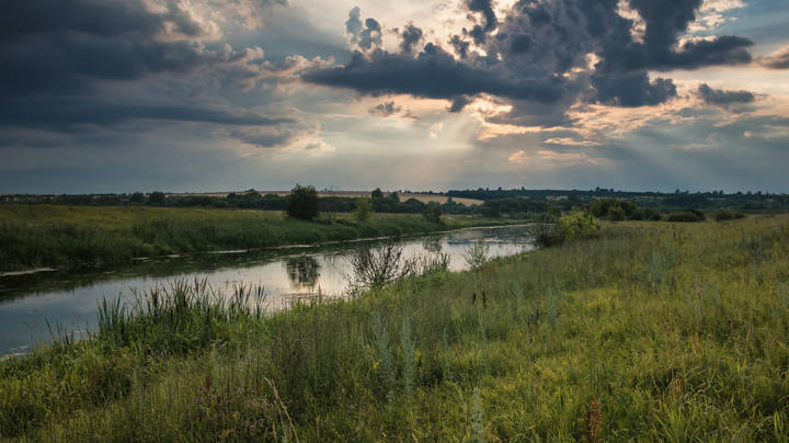 Перед грозой