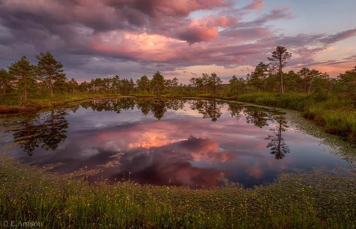 Водное зеркало