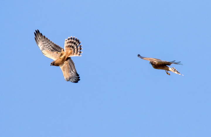 # 1