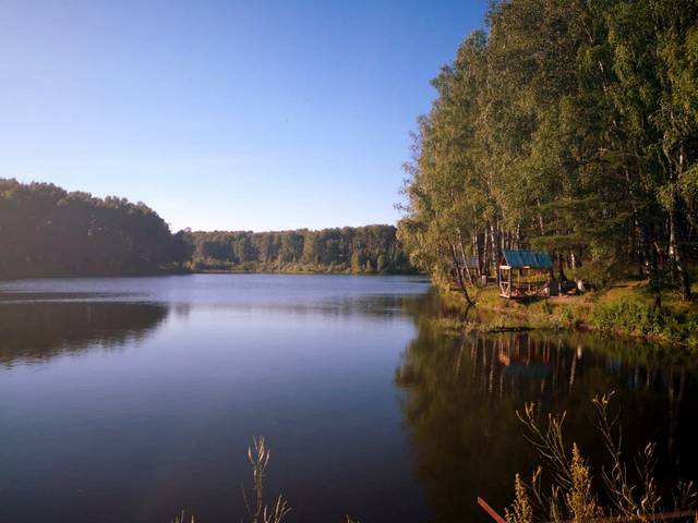 Утро на озере .