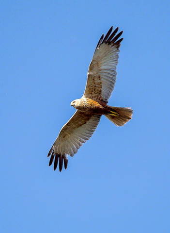 # 2