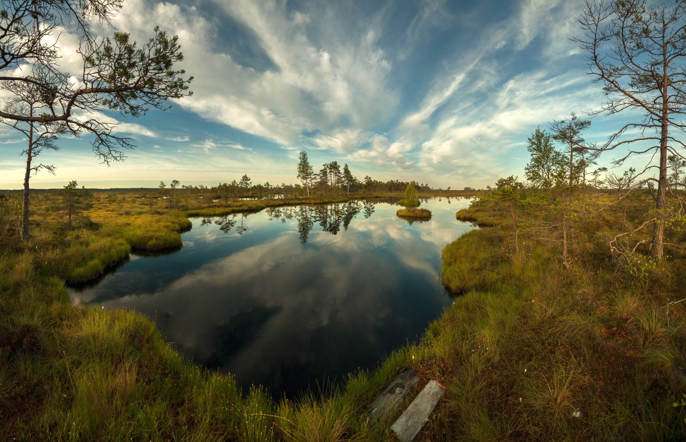 swamp Dunika, Latvia