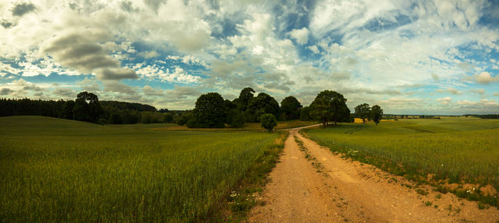 along the country roads