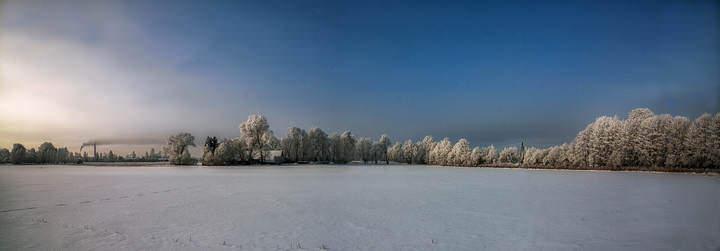 winter morning