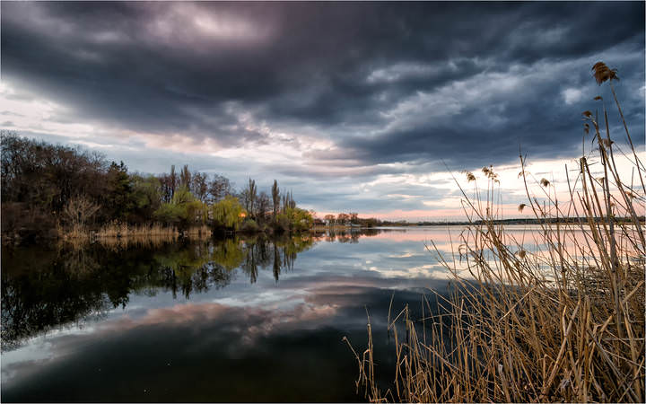 Журавлёвка. Апрель.