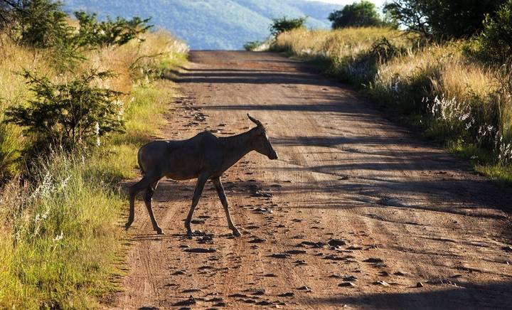  South Africa
